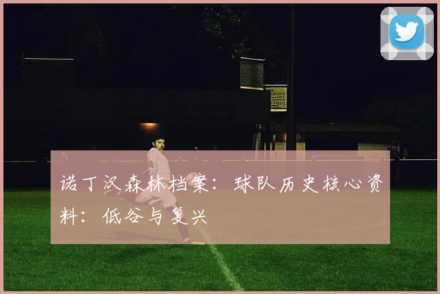 诺丁汉森林档案：球队历史核心资料：低谷与复兴