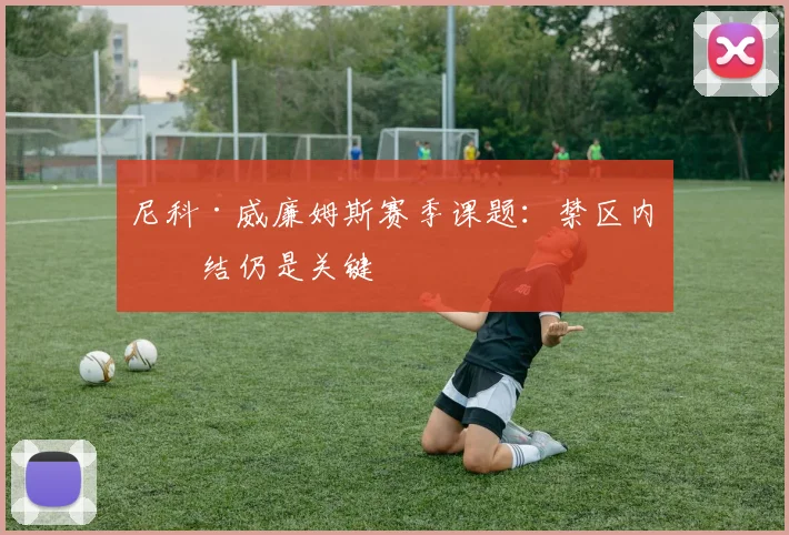 尼科·威廉姆斯赛季课题:禁区内终结仍是关键