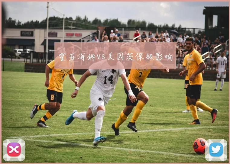 霍芬海姆vs美因茨保级影响